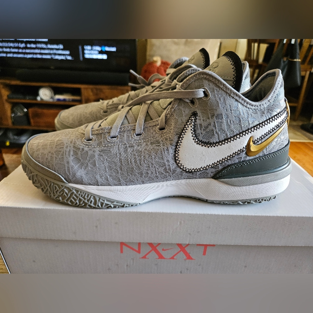 Nike Zoom LeBron NXXT Gen 'Wolf Grey' Mens Size 12 100% Authentic Worn Mint